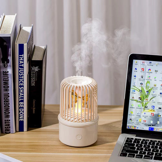 Aroma Diffuser Wireless Speaker