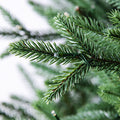 Evergreen Classics: Calgary Spruce