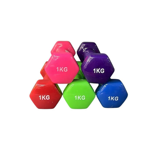Dumbbells Set Vinyl Dipping