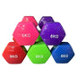 Dumbbells Set Vinyl Dipping