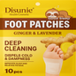 Ginger & Lavender Detox Foot Patches – 10 Pieces