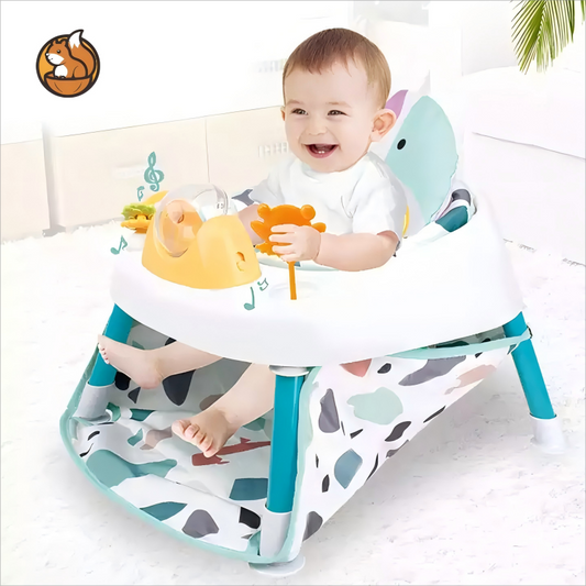 2-in-1 Baby Fitness Chair