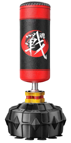Boxing Punching Bag