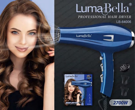 Professional Hair Dryer | 2700W