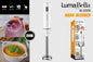 B-2006 Hand Blender – 200W