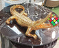 Golden Alligator Figurine Holding Rubik’s Cube