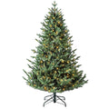 Evergreen Classics: Calgary Spruce