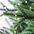 Evergreen Classics: Calgary Spruce